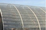 Natural Innovation.org